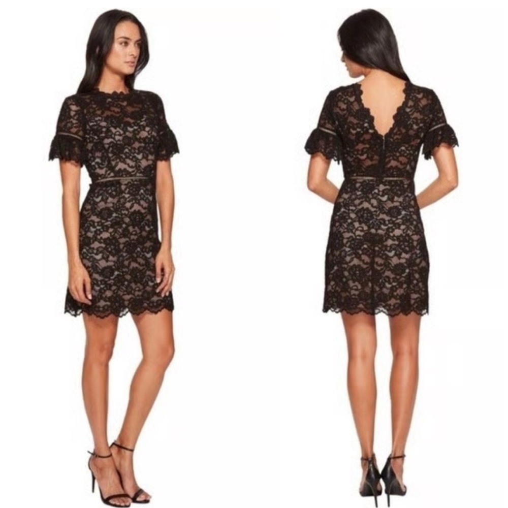 NWT Rebecca Taylor Black Lace Dress v back ruffle short sleeve size 8